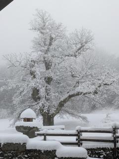 Maison au coeur de la forêt dans le Sidobre - GR36 - Lacrouzette - 6