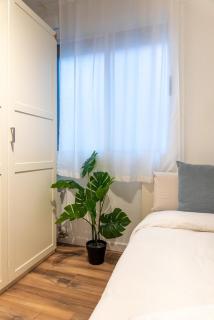 Sagrada Familia views, big and bright apartment - Barcelona - 1