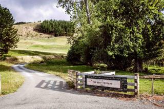 The Pear Orchard Lodge - 2