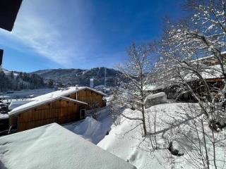Viking 23 - Appartement 5 pers centre du village - La Clusaz - 9