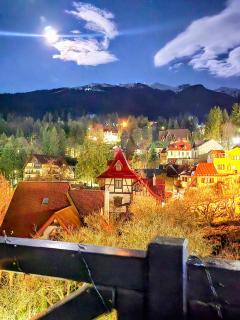 Vila Ferdinand Apartments - Sinaia - 9