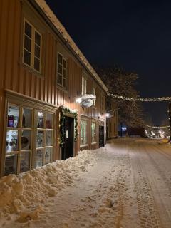 Beautiful house - walking distance of everything - Trondheim - 8