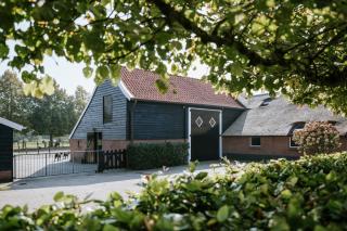Hoeve 6 - Uffelte - 9