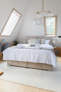 Rustic Inn bed and breakfast - Budeşti - 3