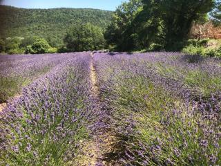 les Claveaux - Montfuron - 5