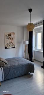 Cosy Appartement Complet centre-ville Montbéliard - Montbéliard - 5