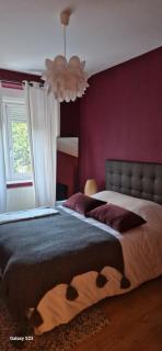 Cosy Appartement Complet centre-ville Montbéliard - Montbéliard - 0