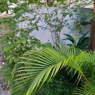 Studio 28m2 meublé Le Gosier - 2