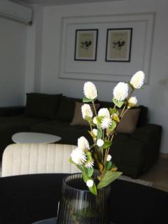 Apartmani L - Novi Pazar - 6