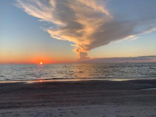 Sunset Sanctuary IRB - Clearwater Beach - 5