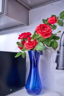 Wild Romance Hideaway 5 MIN Away from Downtown - 6