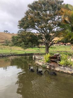 Rancho Cejo - Duas Barras - 3