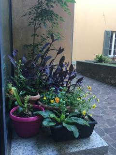 La Casa nel Chiostro tra lago e monti - Lecco - 7