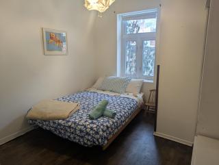 Plateau apartment with garden - Montréal - 9
