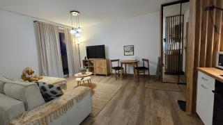 Apartamenty Paderewski II - Bielawa - 5
