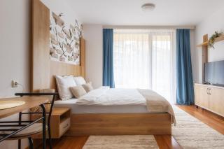 Dream Studio with a Mountain View - Bansko - 0
