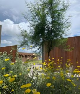 Condominios Evamar San Carlos - 5