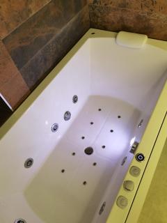 Pavlovic Luxury Spa - Vrnjačka Banja - 4