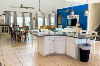 Sand Dollar - 2