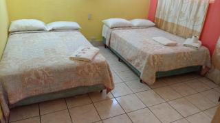 Hotel Green Monkey - Flores - 2