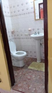 Hotel Green Monkey - Flores - 1