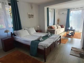 Dvata Smurcha Central Apartments - Free Parking - Bansko - 9