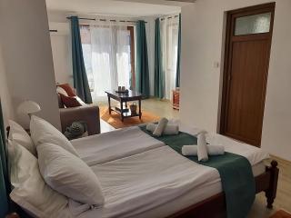 Dvata Smurcha Central Apartments - Free Parking - Bansko - 7