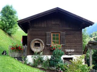 Ferienhaus Wassermühle - 1