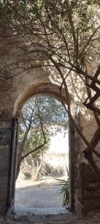 Borgo Santo Stefano - Oschiri - 2