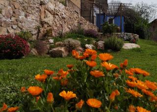 Apartamentos bioclimáticos El Mirlo Azul - 9