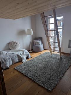 WEF in Davos Luxurious Penthouse Apartment - Klosters Serneus - 4