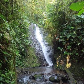 Las 7 cascadas - - 5