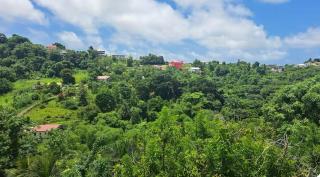 Niché dans la verdure - Rivière-Pilote - 4