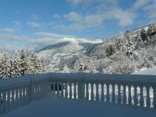 Apart Silvana - Zell am Ziller - 9