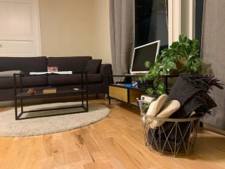 Cozy apartment in Hamna - 9