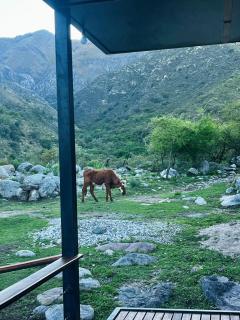 Puesto Kupuka - Villa Las Rosas - 6