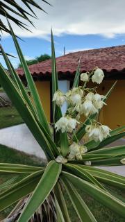 Recanto Bougainville - 1