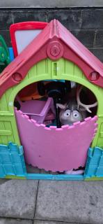 Whole Private Flat - Central Dublin - Dublino - 5