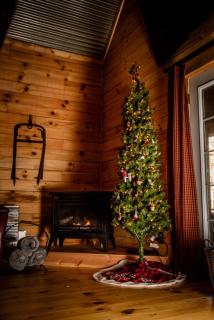 Hocking Hills Cabin, Hot Tub, Private Pond - 3