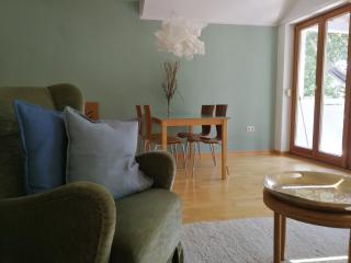 Charming Apartment near Lake - 7