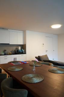 Wollishofen Station 2 bedroom Luxury Apartment - Zurich - 5