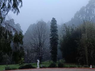 The Olive House Tasmania - Flowerdale - 3