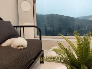 Yeoncheon Pori House Dog Pension - Yeoncheon - 2