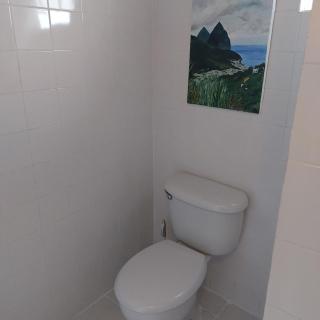 Selens Apartment in Ti Rocher Micoud Saint Lucia - - 8