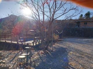 Green Bee Pension - 4