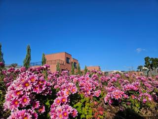 Seogwipo Tre Pension - 1