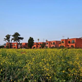 Seogwipo Tre Pension - 2