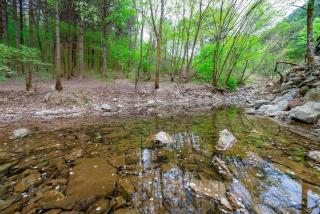 Yangpyeong Sweet Tree Pension - 7