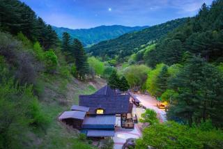 Yangpyeong Sweet Tree Pension - Yangpyeong - 1