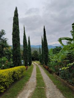 Ecohotel la Floresta - 8